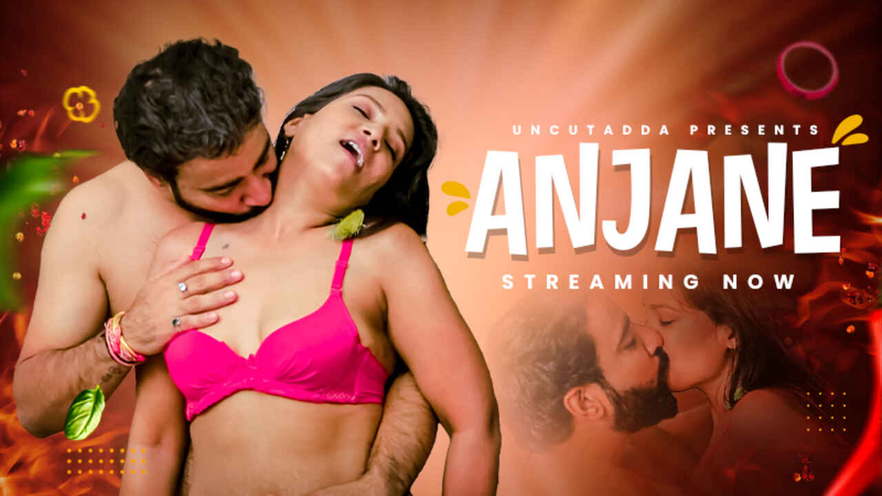 Uncut Adda Originals Anjaane Hindi Hot Porn Video